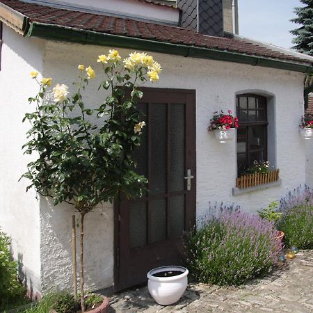 3 Seiten Ferienwohnung Jena Bagian luar foto