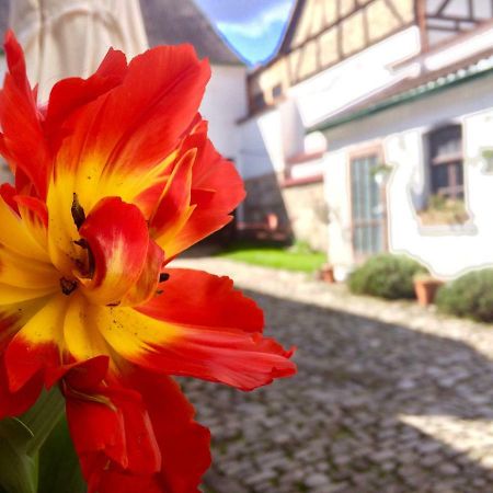 3 Seiten Ferienwohnung Jena Bagian luar foto