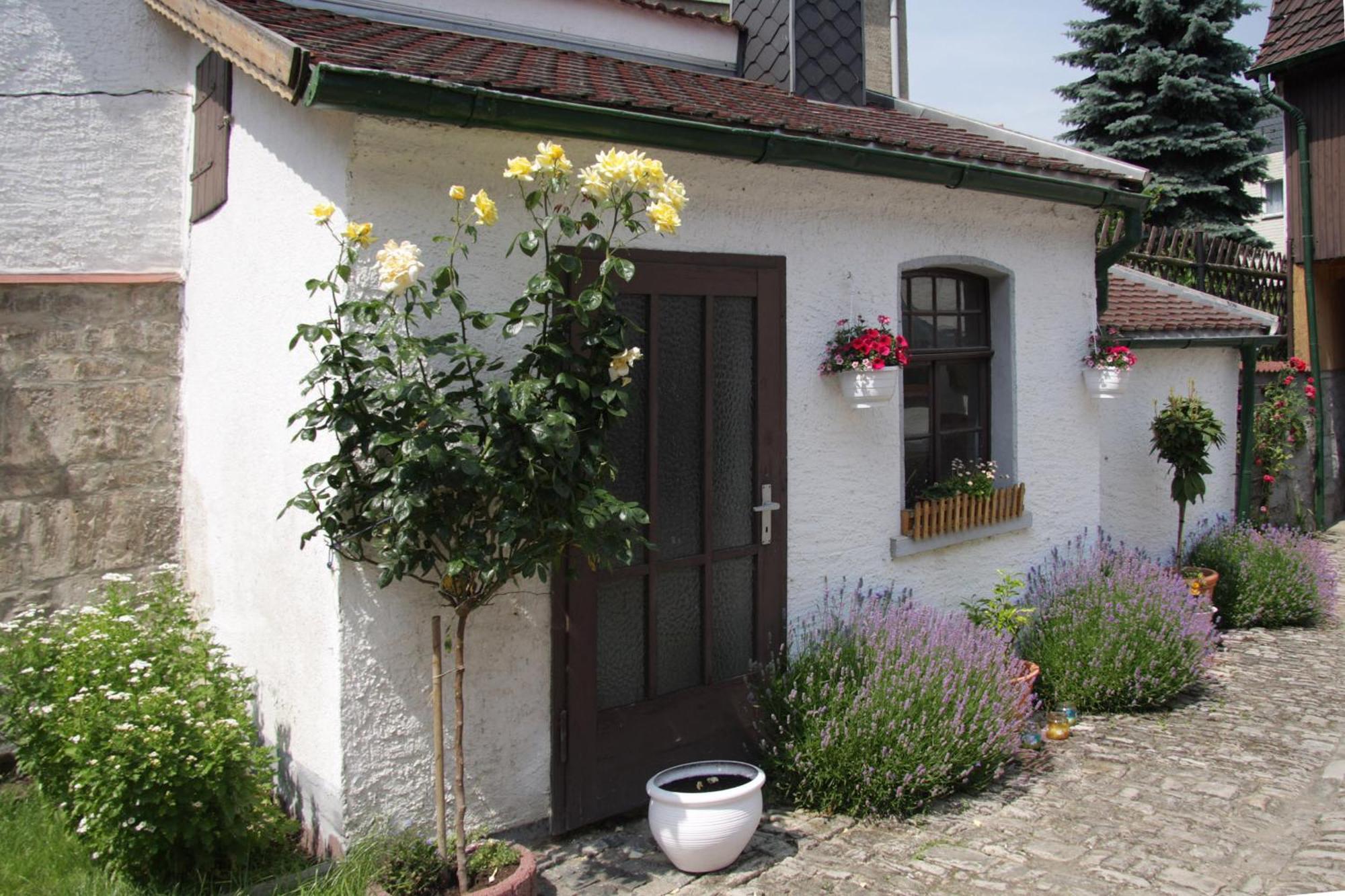 3 Seiten Ferienwohnung Jena Bagian luar foto