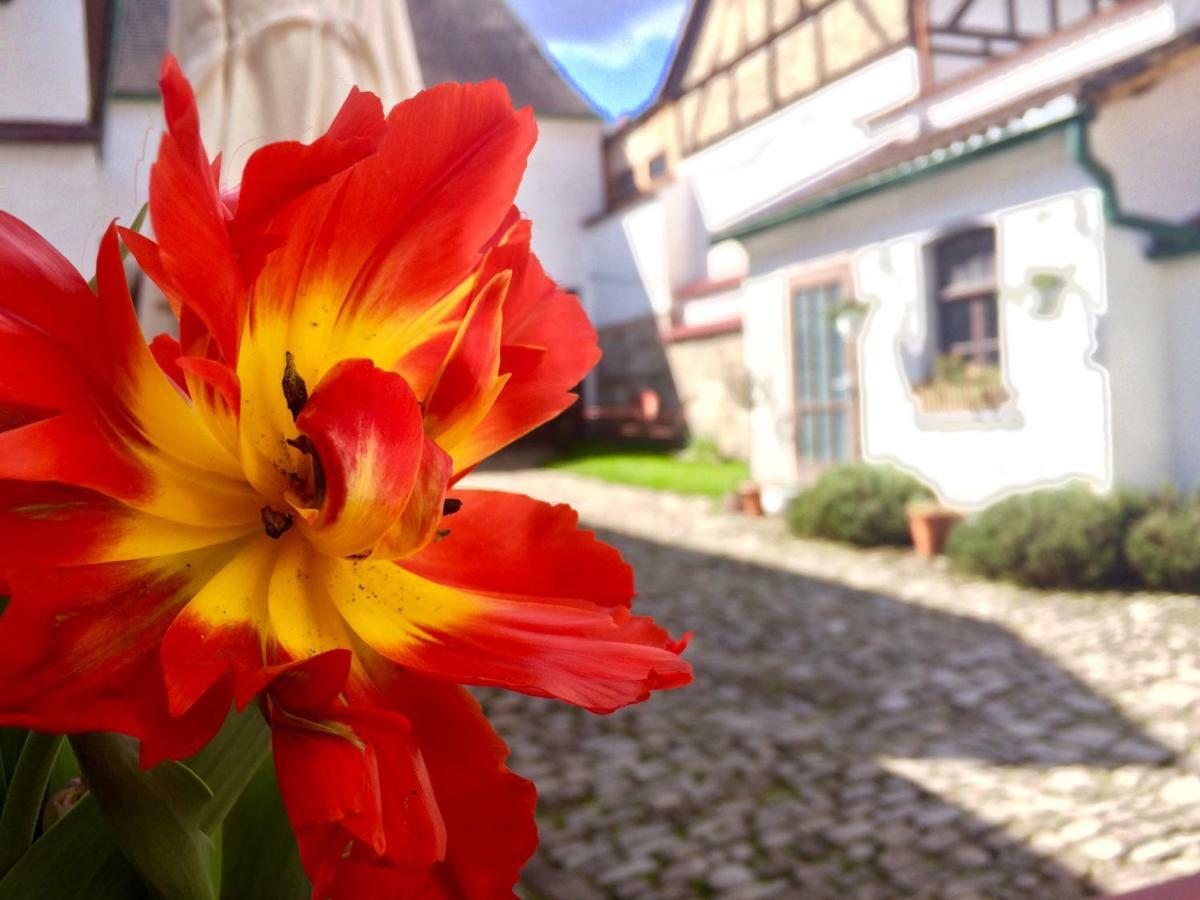 3 Seiten Ferienwohnung Jena Bagian luar foto